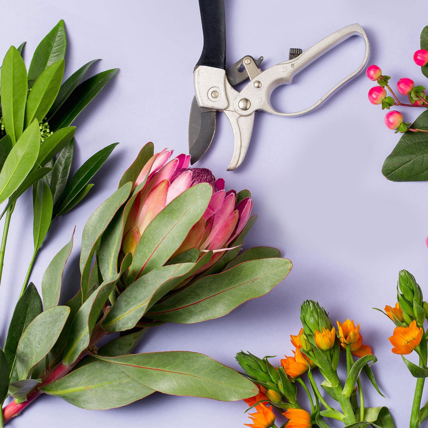 Gartenschere Rosenschere Astschere Garten-Schere Blumenschere Schere Garten