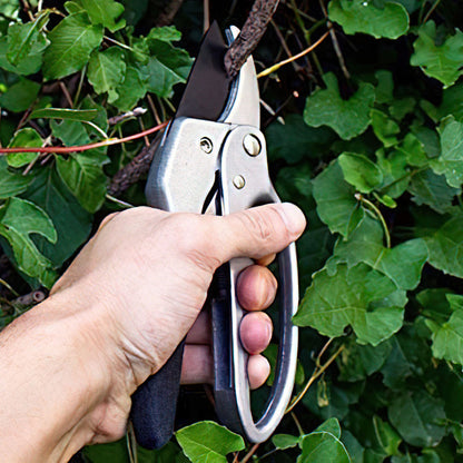 Gartenschere Rosenschere Astschere Garten-Schere Blumenschere Schere Garten